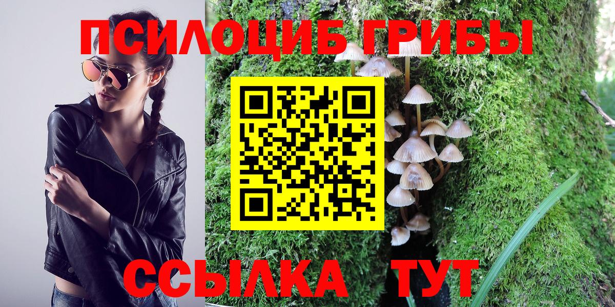 Псилоцибиновые грибы GOLDEN TEACHER  Вход с VPN  Сызрань  Галлюциногенные грибы GOLDEN TEACHER 