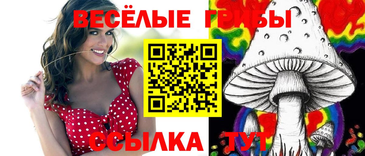 Сызрань  Марихуана  НБОМе  ГАШ  ГАШ  Мефедрон   Вход с VPN  Вейп ТГК 